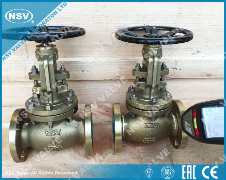 C95800 Globe Valve